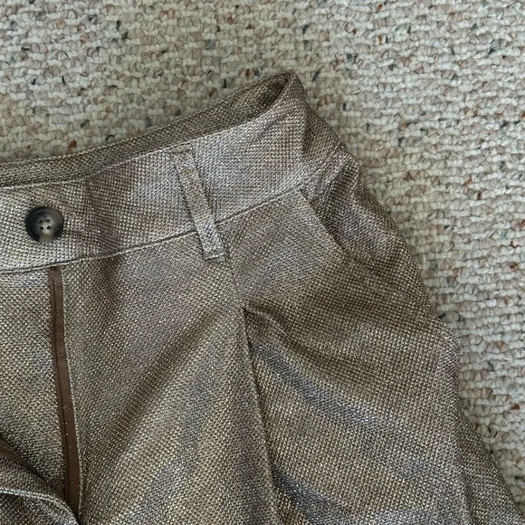 Sparkly Dress Pants - Picture 4 of 7